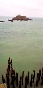 a group of wooden posts sticking out of the water at La Coloniale in Saint Malo