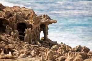 Imagen de la galería de FARINHA DE PAU - ECO B&B, en Tarrafal 129 fotos más