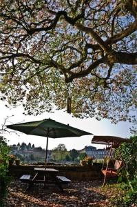 a table with an umbrella and a chair under a tree at Maison du Magnolia in Confolens