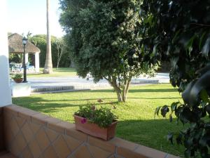 A garden outside ABULAGAR
