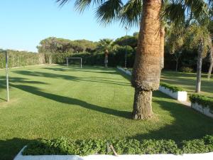 A garden outside ABULAGAR