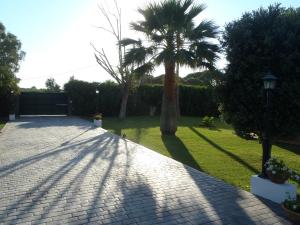A garden outside ABULAGAR