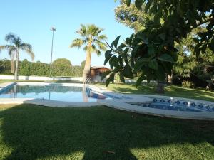 a swimming pool in a yard with palm trees at ABULAGAR in Rota