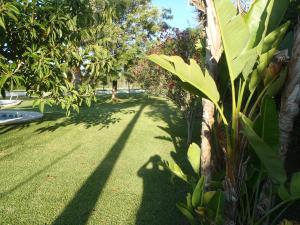 A garden outside ABULAGAR