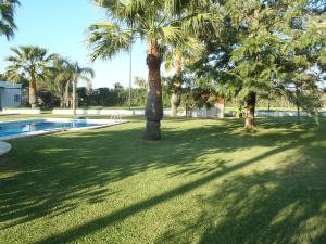 The swimming pool at or close to ABULAGAR
