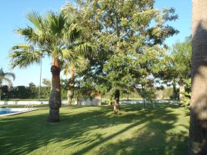 A garden outside ABULAGAR