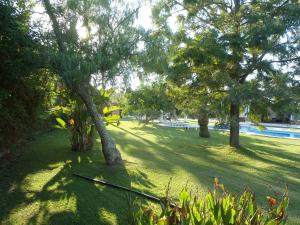 A garden outside ABULAGAR