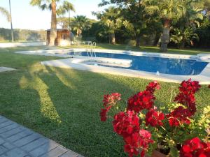 una piscina con fiori rossi in un cortile di ABULAGAR a Rota