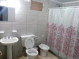 Un baño con inodoro, lavabo y cortina de ducha. en Departamento Colón 1, en San Rafael 2 fotos más