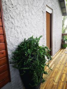 Fotografie z fotogalerie ubytování Bungalow Maelie v destinaci La Trinité
