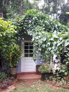 a white door with a bunch of plants around it at Paradise Cottage Kandy in Kandy