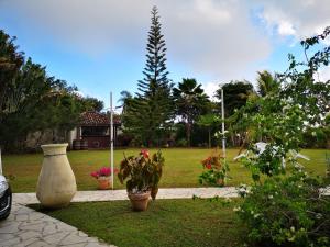 Zahrada ubytování Bungalow Maelie