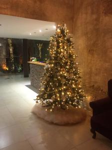 a christmas tree with lights in a room at HOTEL BOUTIQUE JAYCO in San Jos&eacute; Iturbide