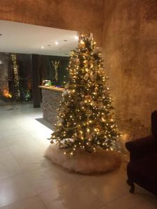 un arbre de Noël avec des lumières dans une pièce dans l'établissement HOTEL BOUTIQUE JAYCO, à San José Iturbide