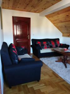 a living room with a blue couch and a table at Apartments Radingturs in Žabljak