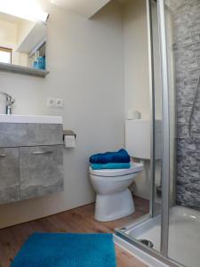 a bathroom with a toilet and a glass shower at Haus Holzer in Wagrain