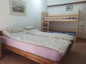 a bedroom with a bed with two bunk beds at Lotus turtle garden Eilat in Eilat