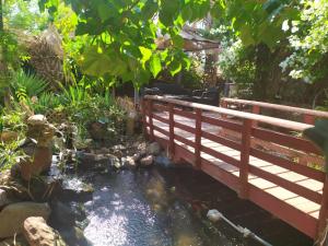 un pont en bois sur un ruisseau avec un koï dans l'établissement Lotus turtle garden Eilat, à Eilat
