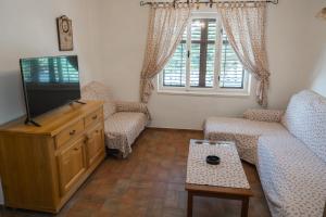 a living room with a tv and a couch at Apartments Anita 1 in Barbat na Rabu