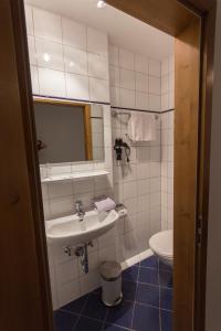 a bathroom with a sink and a toilet at Landhaus Griessee in Obing