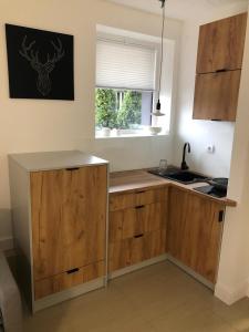 a kitchen with wooden cabinets and a sink and a window at Apartament BeSkidSki in Szczyrk