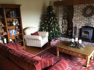 Venetia House - small guesthouse في غالواي: غرفة معيشة مع شجرة عيد الميلاد ومدفأة