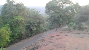 Paesaggio naturale nelle vicinanze dell'affittacamere