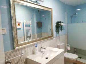 a bathroom with a sink and a mirror and a toilet at El Balcón del Duero 1—2 in Castronuño +28 photos
