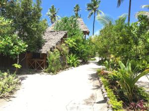 un chemin menant à une maison sur la plage dans l'établissement Mount Zion Lodge, à Michamvi