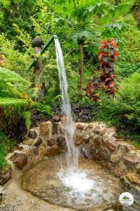 a waterfall in the middle of a garden at Ti Kwen Glo Cho in Roseau