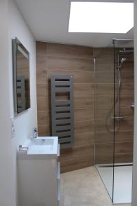 een badkamer met een wastafel en een douche bij Tourisme et Affaires Quimper + parking privé, wifi, jardin in Quimper