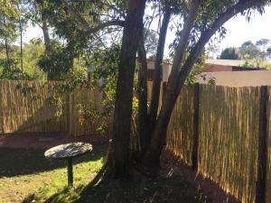 a tree in a yard next to a fence at pequeña casa completa en el pinar in El Pinar