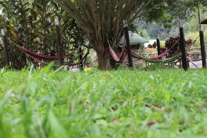 Zahrada ubytování HOTEL IGUAIMA