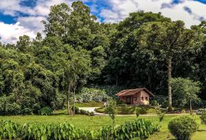 mały różowy dom pośrodku pola w obiekcie Pousada Pinhal Alto w mieście Nova Petrópolis