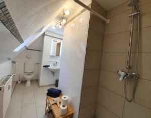 a bathroom with a shower with a toilet and a sink at NEU 2023 STADTVILLA 1910 ESENS BENSERSIEL 2-5 Personen NORDSEE OSTFRIESLAND in Esens