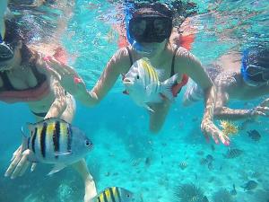 a group of people in the water with fish at Coralito Malecon Luxury Studio in Isla Mujeres