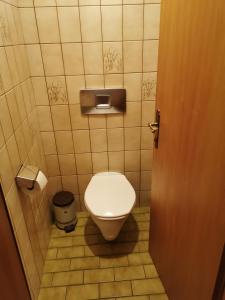 a bathroom with a toilet and a trash can at Ferienwohnung Seidl Top 1 in Rauris