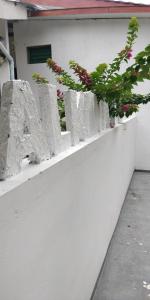 a white fence with flowers on top of it at Alkina lodge in Fulidhoo
