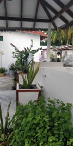 a patio with plants and a white wall at Alkina lodge in Fulidhoo