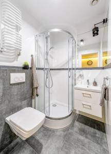 a bathroom with a shower and a toilet and a sink at Apartamenty Piekary 11 przy Wiśle by Rentoom in Toruń