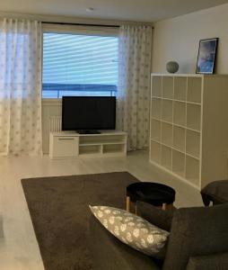 TV a/nebo společenská místnost v ubytování Savotta apartment