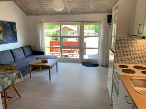 a kitchen and living room with a couch and a table at Ristinge Ferielejligheder in Humble