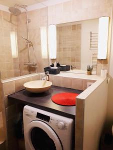 een badkamer met een wastafel en een wasmachine bij Le Calme de l’Opera. in Lyon