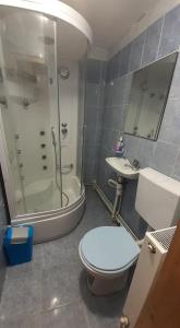 ein Badezimmer mit Toilette, Dusche und Waschbecken in der Unterkunft Cabana Larisa in Cavnic + 22 Fotos