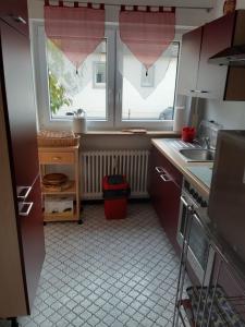 a kitchen with a sink and two windows with pink curtains at Ferienwohnung Toska in Pfaffenweiler