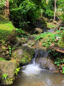 Paesaggio naturale nelle vicinanze del bed & breakfast