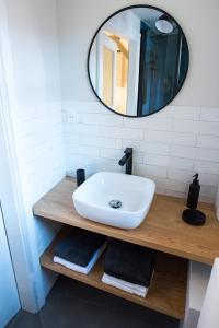 een badkamer met een wastafel en een spiegel bij Le cocon de Jules in Colmar