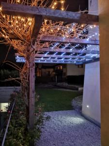 Zahrada ubytování Casa Vacanza Ex Pretura Vallelaghi