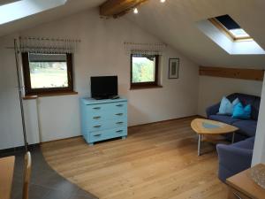 a living room with a blue couch and a tv at Apartments Blumenheim in Castelrotto