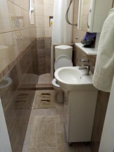 a small bathroom with a toilet and a sink at Vila I in Niška Banja +16 photos